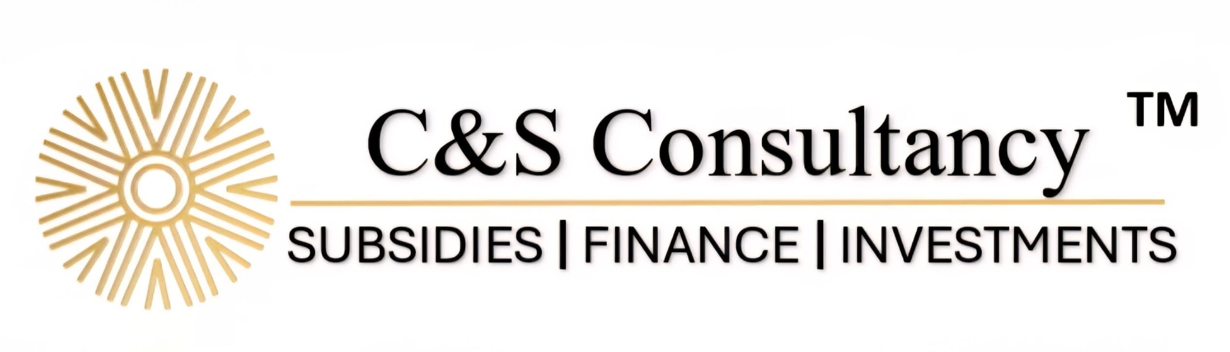 C&S Consultancy Logo